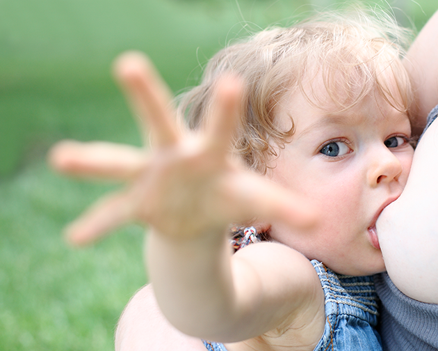 Breastfeeding Your Toddler Breastfeeding Your Toddler